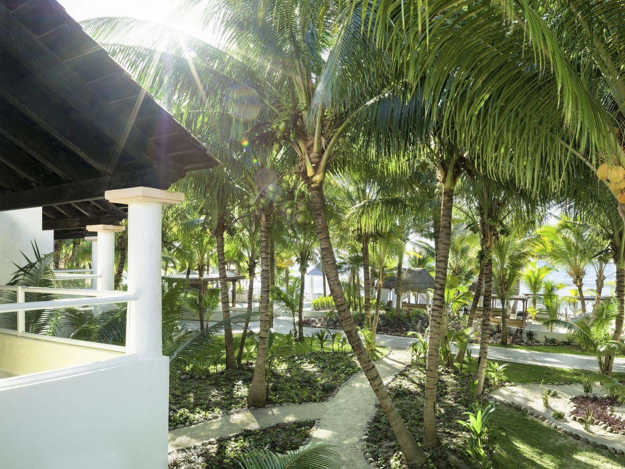 El Dorado Seaside Palms Adults Only Hotell Xetna Eksteriør bilde